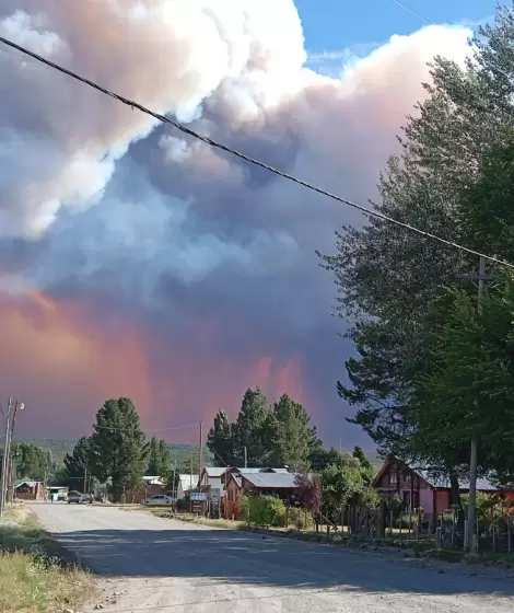 M�s de 35 mil hect�reas ya fueron arrasadas mientras brigadistas combaten las llamas