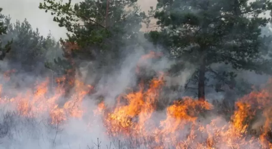 M�s de 35 mil hect�reas ya fueron arrasadas mientras brigadistas combaten las llamas