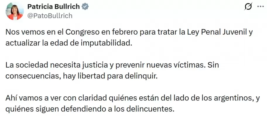 Patricia Bullrich celebró que se vaya a trata una Ley Penal Juvenil en las sesiones extraordinarias.