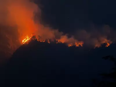 M�s de 40 mil hect�reas arrasadas, brigadistas exhaustos y pobladores en alerta permanente.