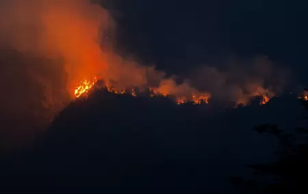 M�s de 40 mil hect�reas arrasadas, brigadistas exhaustos y pobladores en alerta permanente.