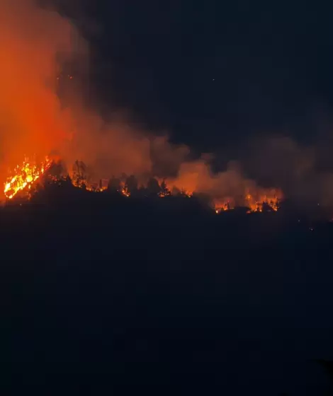M�s de 40 mil hect�reas arrasadas, brigadistas exhaustos y pobladores en alerta permanente.