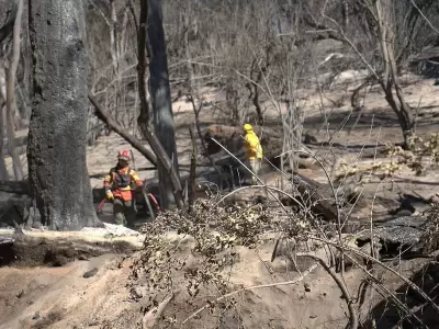 M�s de 230 mil hect�reas afectadas