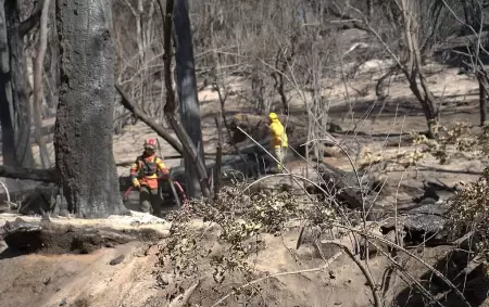 M�s de 230 mil hect�reas afectadas