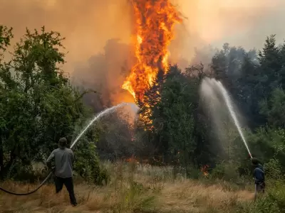 La Patagonia argentina sufre los peores incendios forestales de las �ltimas tres d�cadas