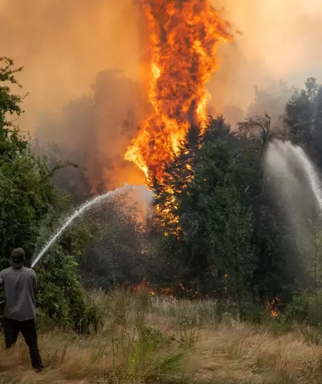 La Patagonia argentina sufre los peores incendios forestales de las �ltimas tres d�cadas