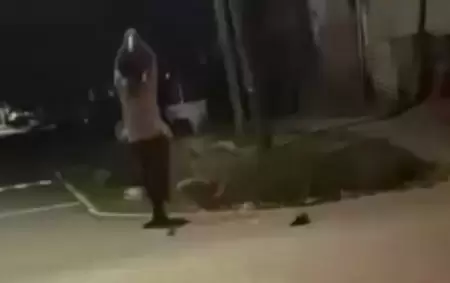 El momento en el que el sobrino atac� con el bate de b�isbol a su t�o, en la localidad pilarense de Del Viso.