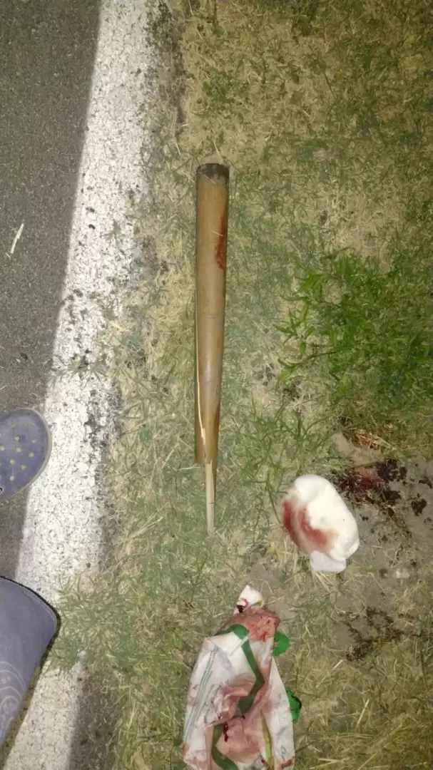 Así quedó el bate de béisbol con el que el sobrino de Del Viso atacó a su tío, en un ataque por los terrenos de su abuela.