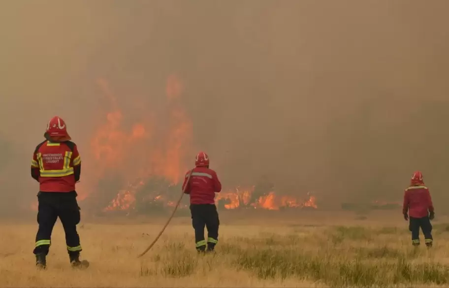 Falsos brigadistas vend�an donaciones que eran para los afectados en los incendios