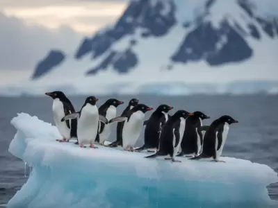 La posible modificaci�n de la Ley de Glaciares reabre una disputa estrat�gica