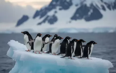 La posible modificaci�n de la Ley de Glaciares reabre una disputa estrat�gica