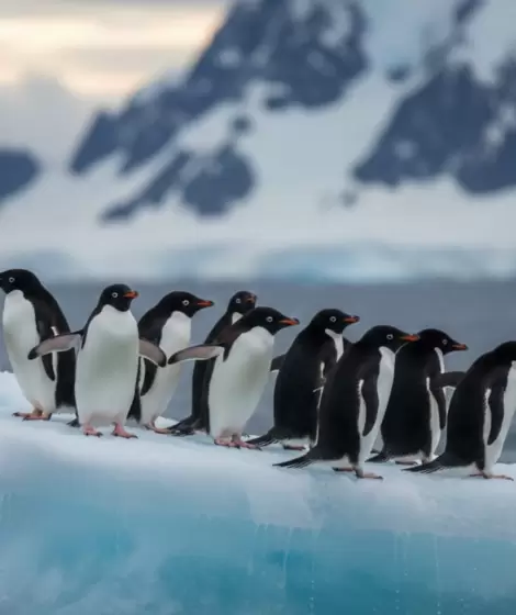 La posible modificaci�n de la Ley de Glaciares reabre una disputa estrat�gica