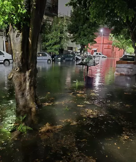 Avellaneda, Dock Sud, Lan�s y Lomas de Zamora fueron los puntos m�s castigados