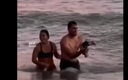 Indignaci�n en Monte Hermoso: una pareja sac� del agua a un ping�ino y las redes estallaron
