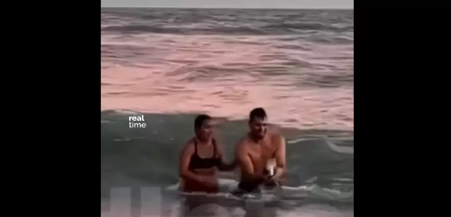 Indignaci�n en Monte Hermoso: una pareja sac� del agua a un ping�ino y las redes estallaron