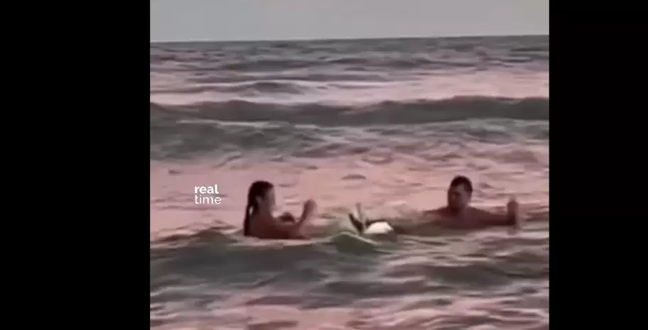 Indignaci�n en Monte Hermoso: una pareja sac� del agua a un ping�ino y las redes estallaron