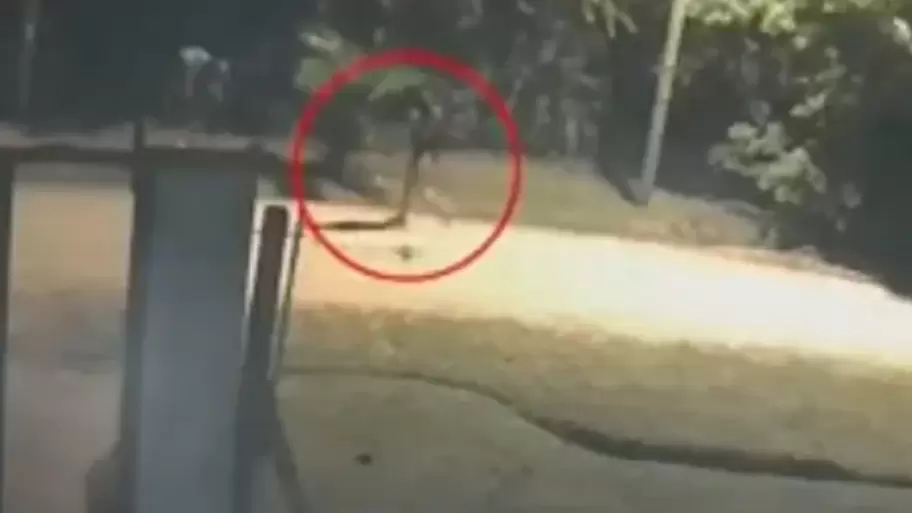 Momento en el que se ve pasar a Malena Maidana