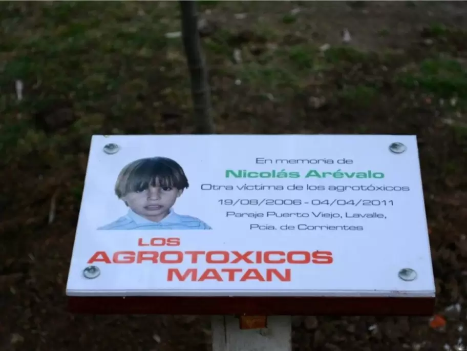 La Justicia correntina reconoci� que el menor sufri� un edema agudo de pulm�n que le caus� la muerte por los agrot�xicos