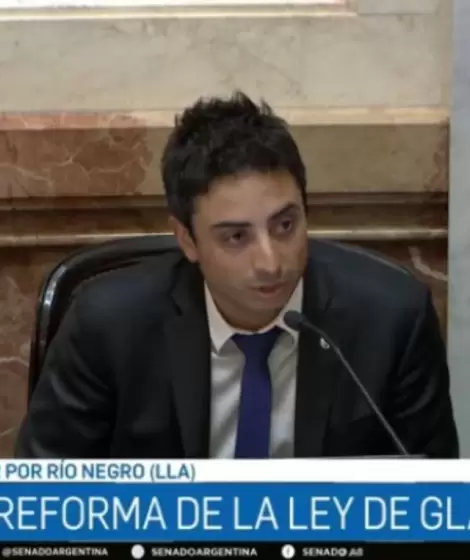 El senador libertario rionegrino Enzo Paolo Fullone