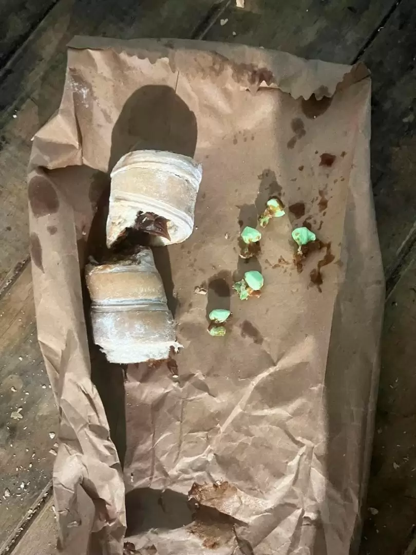 En Chaco, un joven cay� cuando quiso pasar "bochitas" de coca�na escondidas en ca�oncitos con dulce de leche.