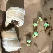 Droga en el cuerpo y en facturas: dos intentos desesperados por ingresar coca�na a c�rceles terminaron en detenciones