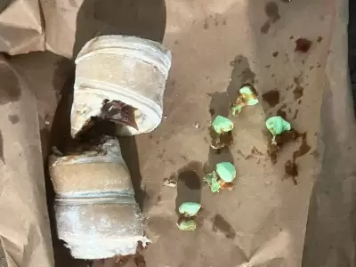En Chaco, un joven cay� cuando quiso pasar "bochitas" de coca�na escondidas en ca�oncitos con dulce de leche.