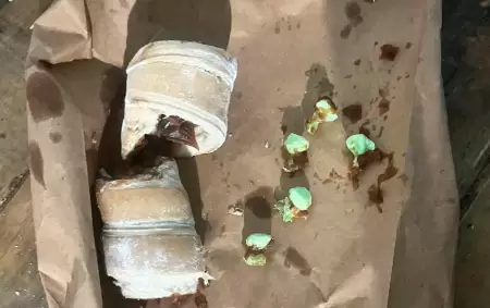 En Chaco, un joven cay� cuando quiso pasar "bochitas" de coca�na escondidas en ca�oncitos con dulce de leche.