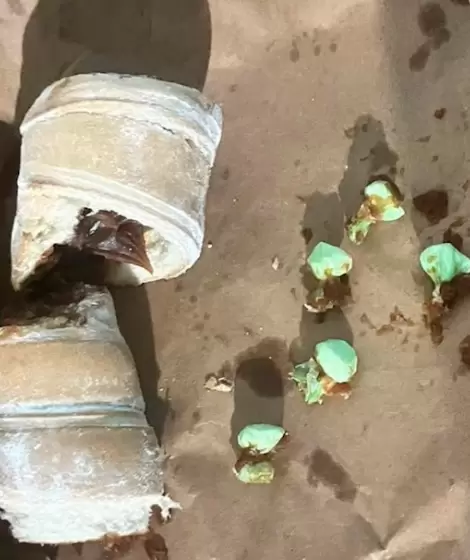 En Chaco, un joven cay� cuando quiso pasar "bochitas" de coca�na escondidas en ca�oncitos con dulce de leche.