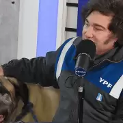 Muri� Robert, uno de los perros "clones" de Conan: vincularon el deceso a la vuelta a los insultos de Milei