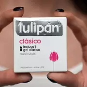 Desprotecci�n de la industria nacional: el drama de los despidos masivos en la f�brica de Tulip�n