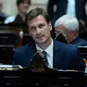 Esc�ndalo: un diputado del PRO compr� un rifle de aire comprimido, lo enviaron al Congreso y se lo retuvieron