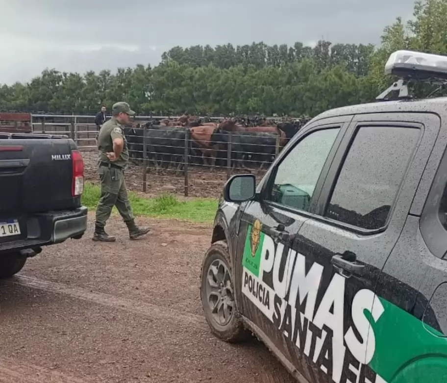 La Joya Agro" denunció ante millones de seguidores la "desaparición" de 190 cabezas de ganado.