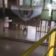 La historia de los preceptores que se la jugaron para que el tiroteo no terminara en masacre: "Se arriesgaron"