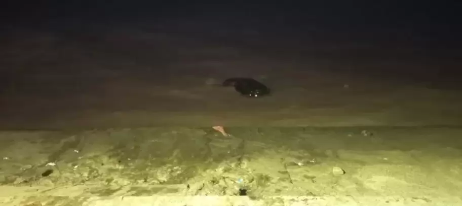 Una camioneta cay� al r�o