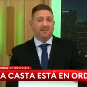 "Fingir demencia": Viale carg� contra Adorni y cuestion� el relato libertario