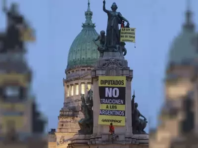 Un activista se trep� a un monumento en el Congreso