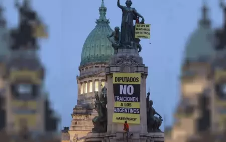 Un activista se trep� a un monumento en el Congreso