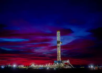 La Angostura Sur multiplic� por 20 su producci�n en tiempo r�cord