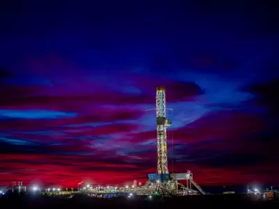 La Angostura Sur multiplic� por 20 su producci�n en tiempo r�cord