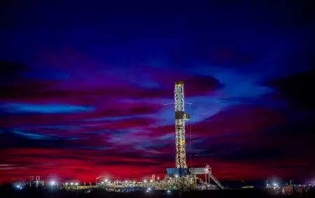 La Angostura Sur multiplic� por 20 su producci�n en tiempo r�cord