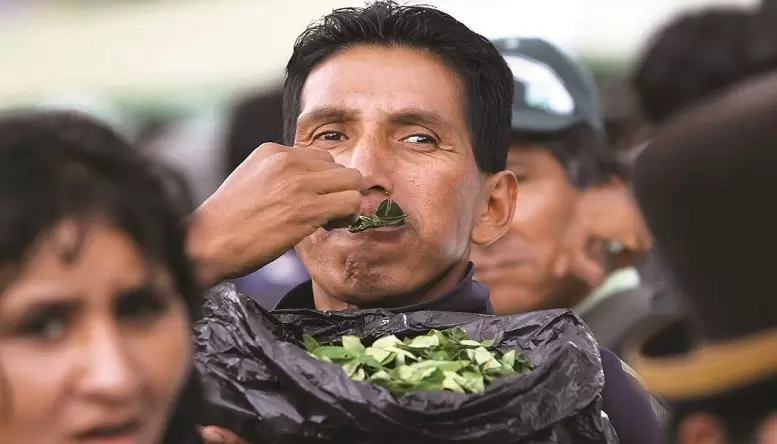 El consumo de hoja de coca es legal en la Argentina.