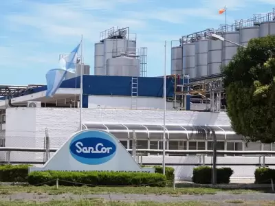 SanCor pidi� su propia quiebra