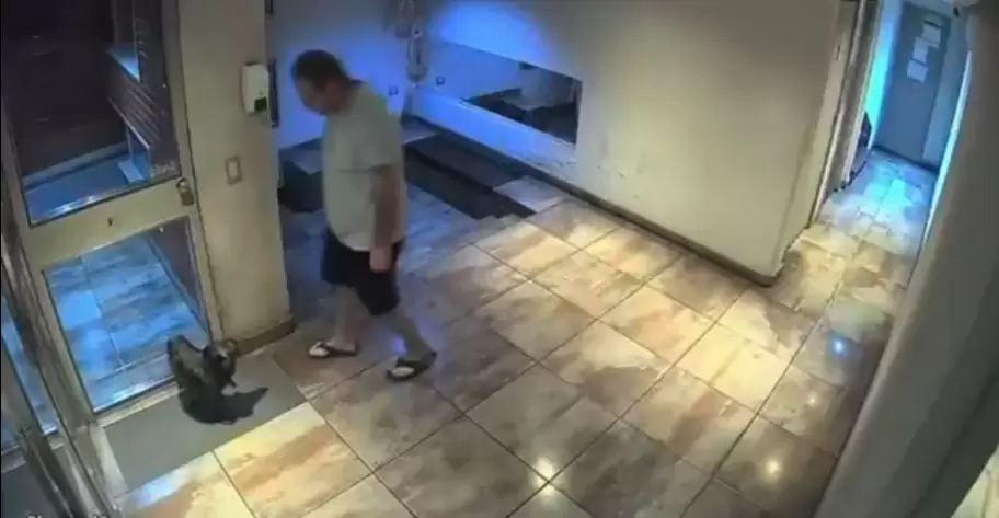 Arroj� a su perro contra el piso y qued� detenido tras la denuncia de sus vecinos