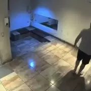 "Estaba temblando": arroj� a su perro contra el piso y qued� detenido tras la denuncia de sus vecinos