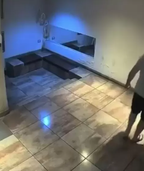 Arroj� a su perro contra el piso y qued� detenido tras la denuncia de sus vecinos