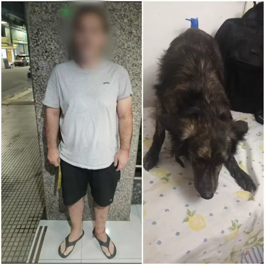 Arroj� a su perro contra el piso y qued� detenido tras la denuncia de sus vecinos