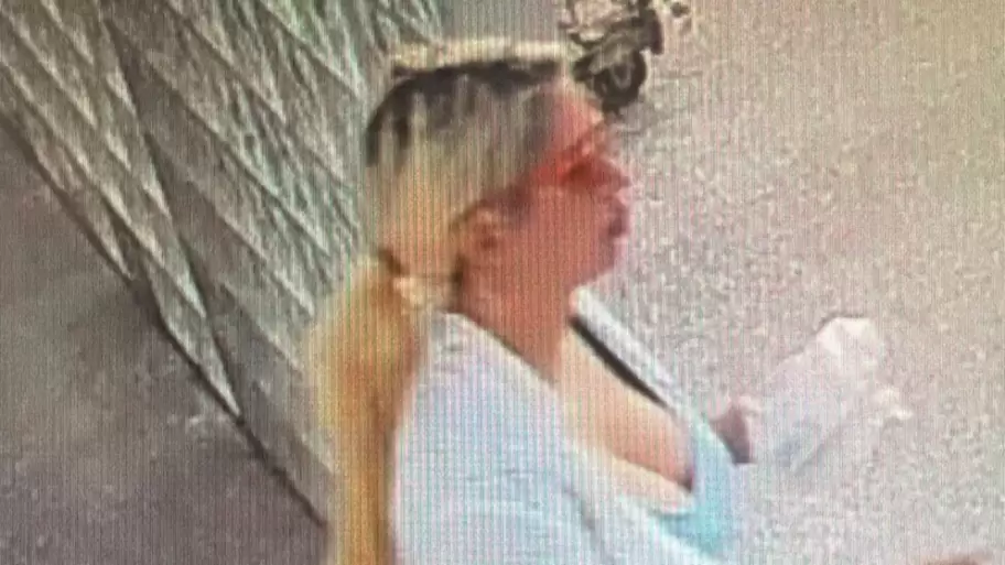 Florencia A., de 34 a�os, aparece en las grabaciones junto a su madre dentro del Hospital Municipal Dr. Bernardo A. Houssay, en Vicente L�pez.