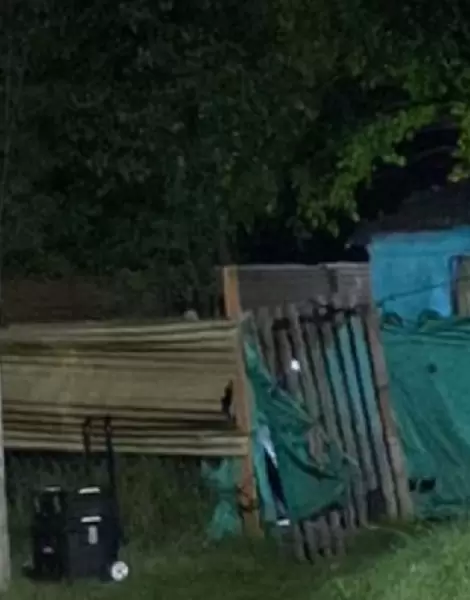 Claypole: un nene cav� en el patio y encontr� el cuerpo de su madre enterrado