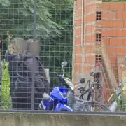 Una denuncia internacional destap� un brutal y oscuro caso de abuso infantil dentro de una familia umbanda