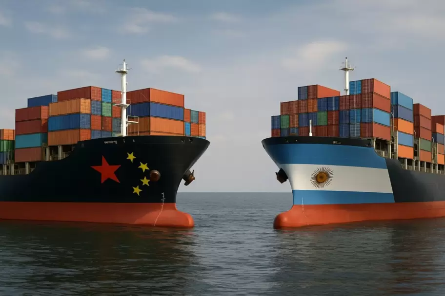 El creciente peso de China en las importaciones y los desaf�os que enfrenta la producci�n nacional.